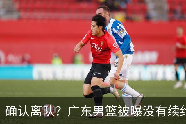 确认离队？广东男篮被曝没有续约杜锋，新主教练人选正式曝光！